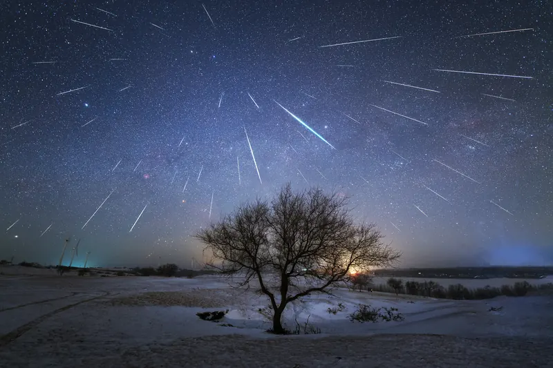 Wiele smug meteorów z roju Geminid na zimowym niebie nad samotnym drzewem w śniegu