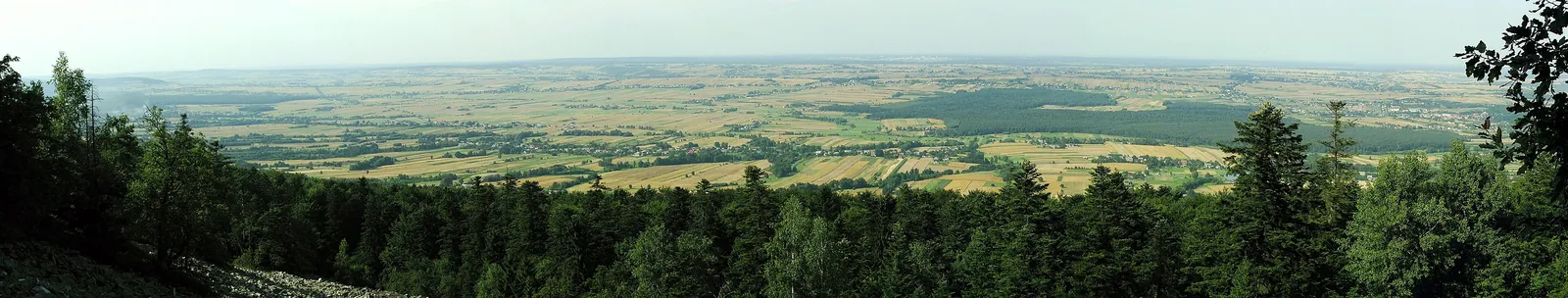 Szeroka panorama z gołoborza na Łysej Górze na północ: na pierwszym planie ciemny las jodłowy, dalej mozaika pól i wsi aż po zamglony horyzont